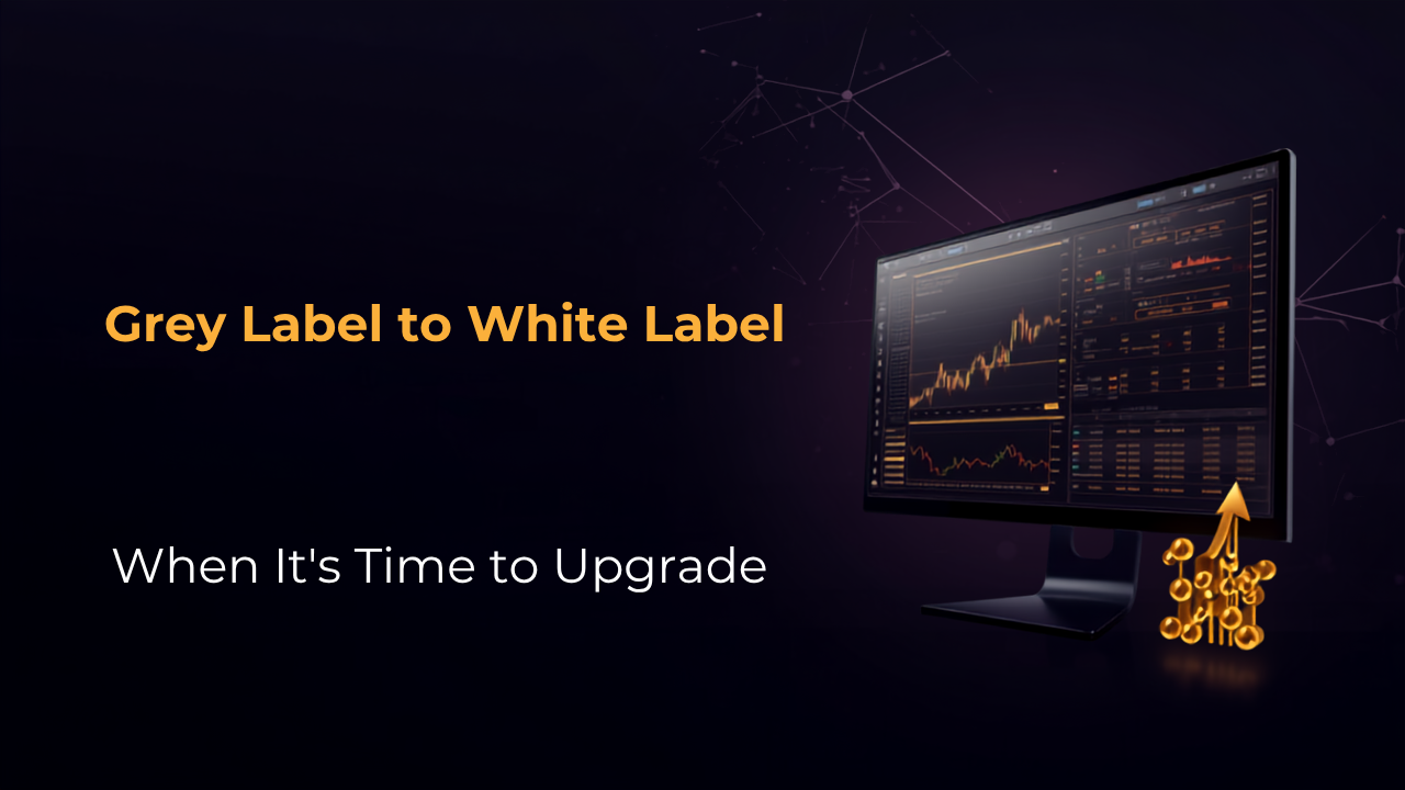 MT5 Grey Label to White Label upgrade illustration in dark navy and gold