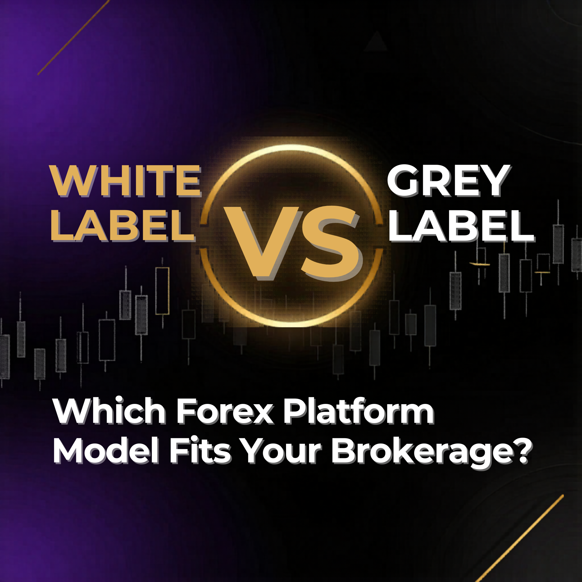 White Label vs Grey Label Forex