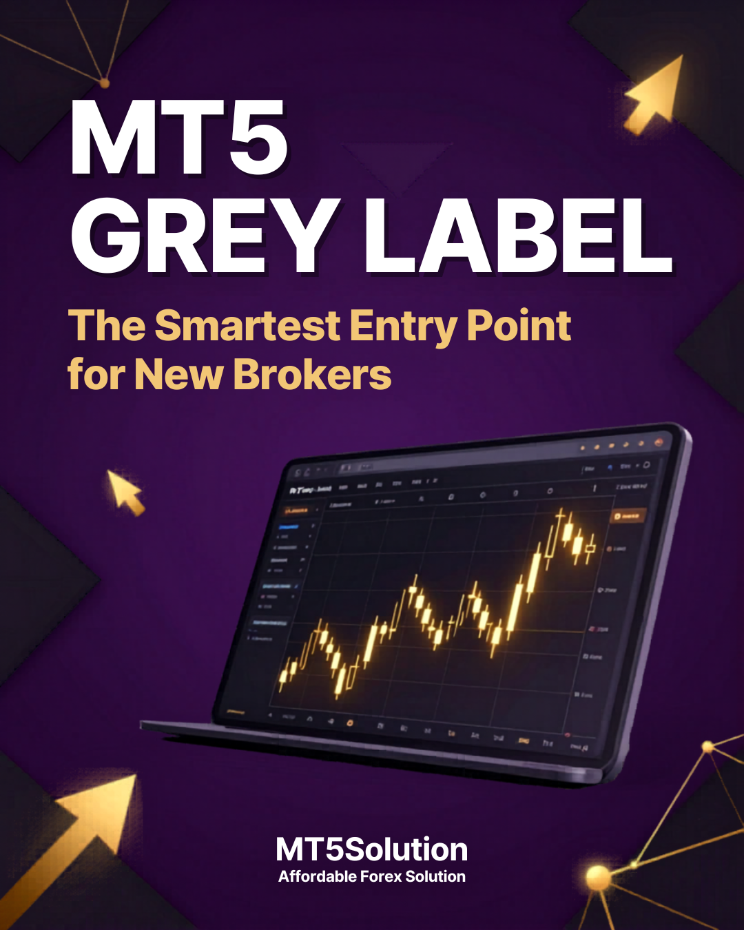 MT5 Grey Label Explained